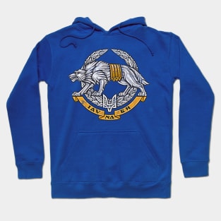 Ukrainian Special Operations Forces // Vintage-Style Emblem Design Hoodie